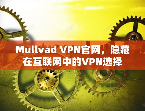 Mullvad VPN官网,隐藏在互联网中的VPN选择 Mullvad VPN官网,隐藏在互联网中的VPN选择