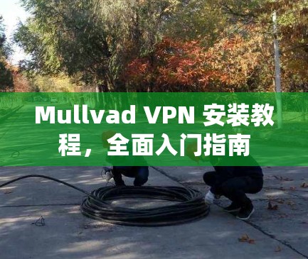 Mullvad VPN 安装教程,全面入门指南 Mullvad VPN 安装教程,全面入门指南