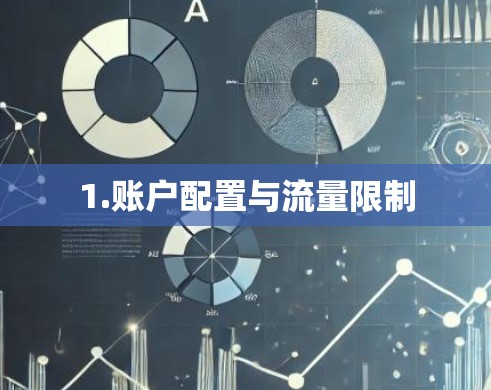 1.账户配置与流量限制 1.账户配置与流量限制