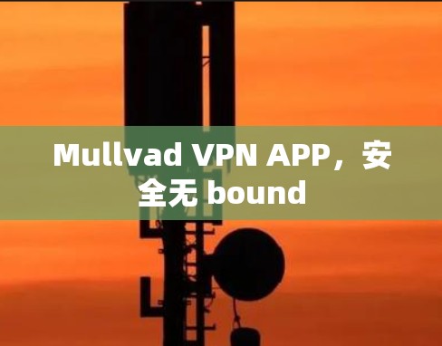 Mullvad VPN APP，安全无 bound