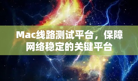 Mac线路测试平台,保障网络稳定的关键平台 Mac线路测试平台,保障网络稳定的关键平台