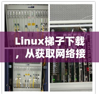 Linux梯子下载,从获取网络接口到连接到服务器的完整过程 Linux梯子下载,从获取网络接口到连接到服务器的完整过程