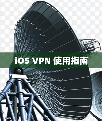 iOS VPN 使用指南 iOS VPN 使用指南