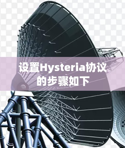 设置Hysteria协议的步骤如下