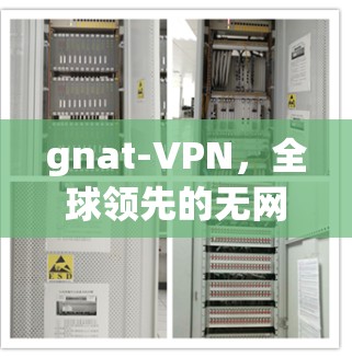 gnat-VPN，全球领先的无网络访问 VPN 解析
