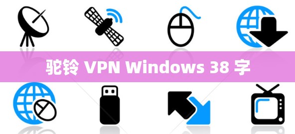 驼铃 VPN Windows 38 字 驼铃 VPN Windows 38 字